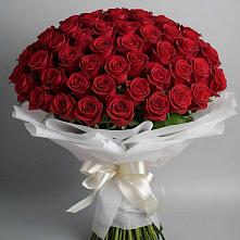 101 Красная роза Блэк Мэджик в Курчатове Букет 101 Красная роза Блэк Мэджик в Курчатове