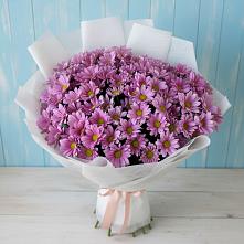 Букет сиреневая охапка в Курчатове Букет цветов из:  Хризантемы в Курчатове