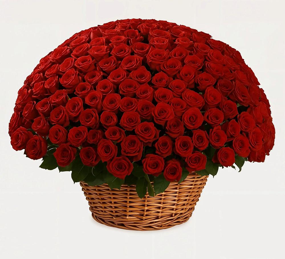 251 Премиум красная роза в Курчатове Премиум букет из: Розы в Курчатове