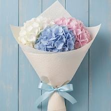 Букет Нежная гортензия в Курчатове Букет цветов из:  Гортензия в Курчатове