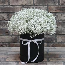 Композиция коробка гипсофил #REPLACE_PRED# Курчатове Цветочная композиция из Гипсофила в шляпной коробке #REPLACE_PRED# Курчатове